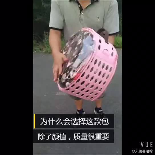 申请日期为2024年12月